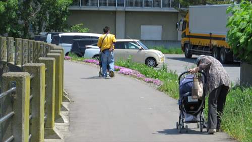 相野橋の下流側の芝桜植え付け箇所とお子さま連れの人たち