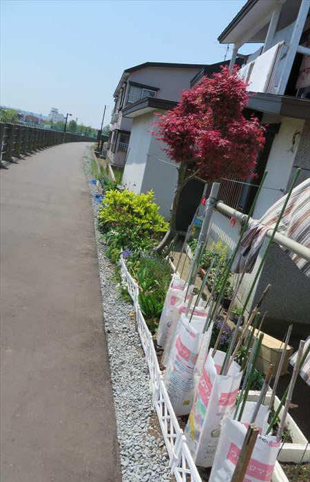 田橋の近くの住民　きれいに花を植え付けて下さっています　土嚢に砕石を詰めて砕石が崩れるのを防いでいました